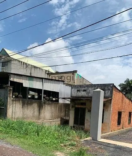 6039643 ảnh đại diện 1