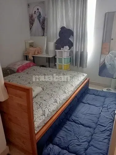 Giỏ Hàng Chủ Đầu Tư Nhiều Căn Đang Bán Tại Hqc Plaza Giá Chỉ Từ 950Tr