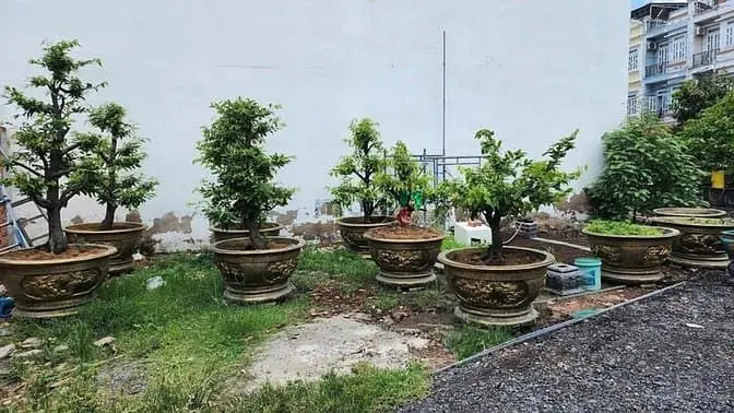 6039807 ảnh đại diện 1