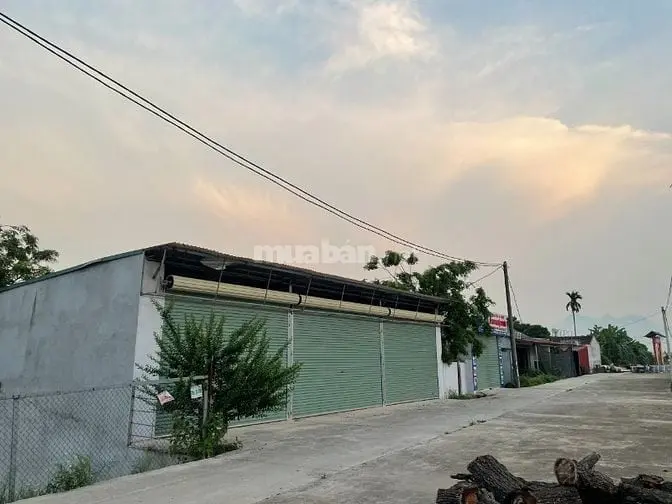 6039654 ảnh đại diện 1