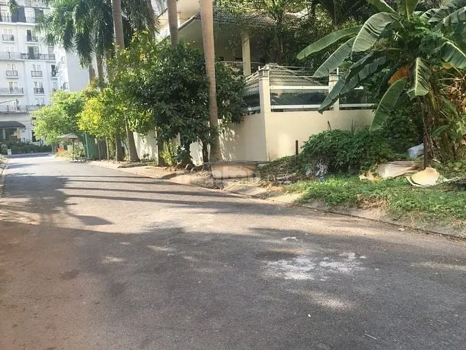 6039710 ảnh đại diện 1