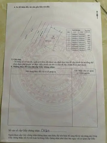 6039428 ảnh đại diện 1