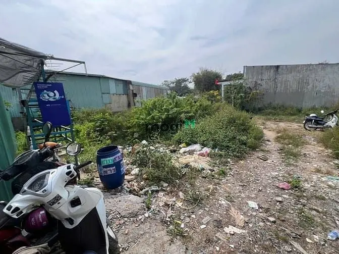 6039361 ảnh đại diện 1