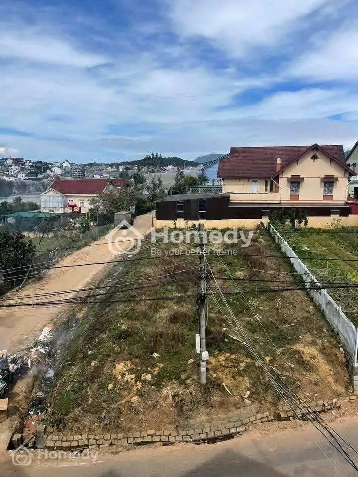 6039720 ảnh đại diện 1