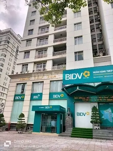 6039301 ảnh đại diện 1