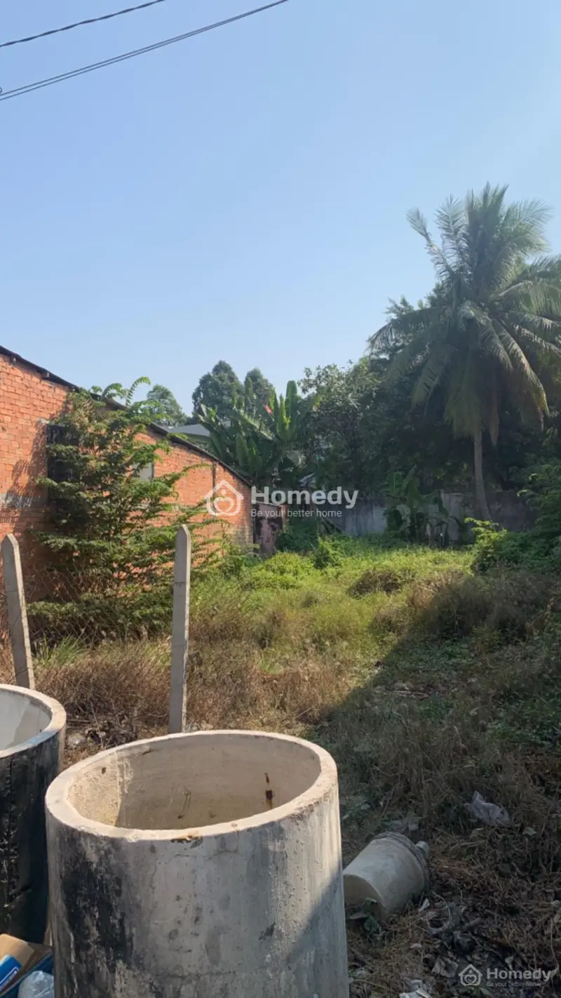 6039687 ảnh đại diện 1