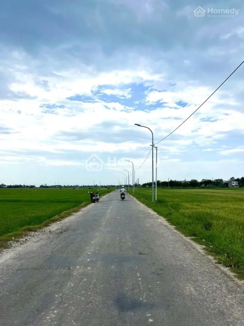 6039637 ảnh đại diện 1