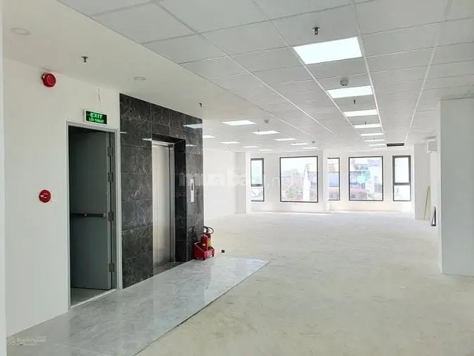 6039588 ảnh đại diện 1