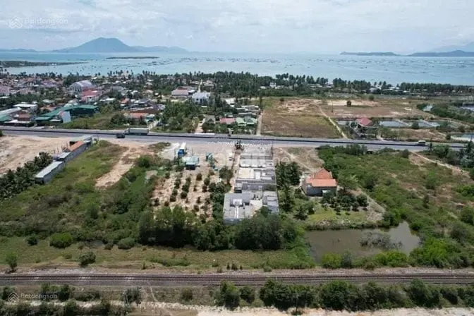 6039679 ảnh đại diện 1