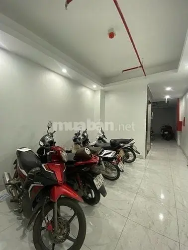 6039355 ảnh đại diện 1