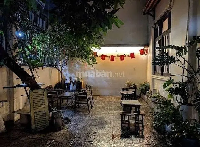 6039731 ảnh đại diện 1