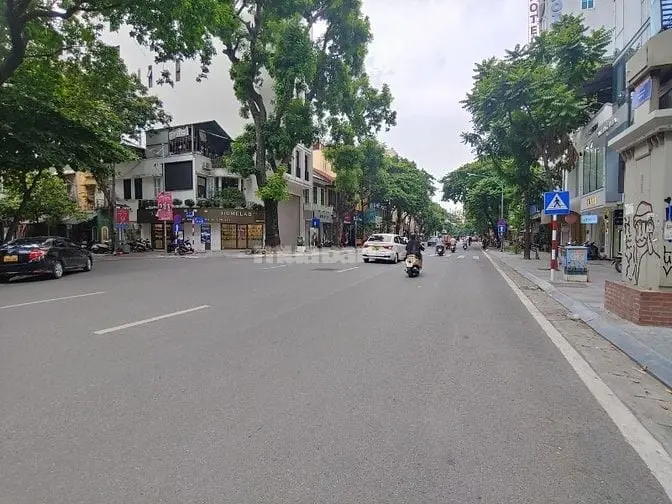 6039443 ảnh đại diện 1