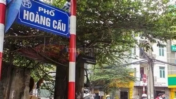 6039450 ảnh đại diện 1