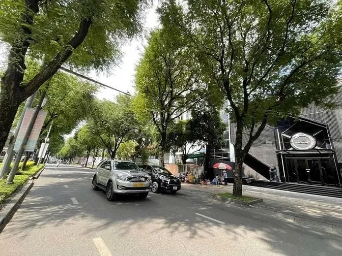 6039275 ảnh đại diện 1