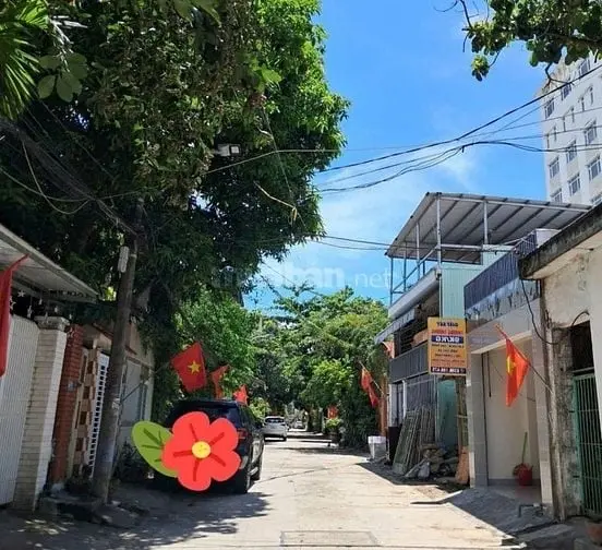 6039371 ảnh đại diện 1