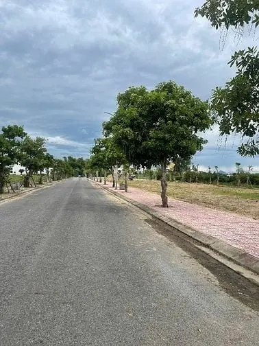 6039251 ảnh đại diện 1
