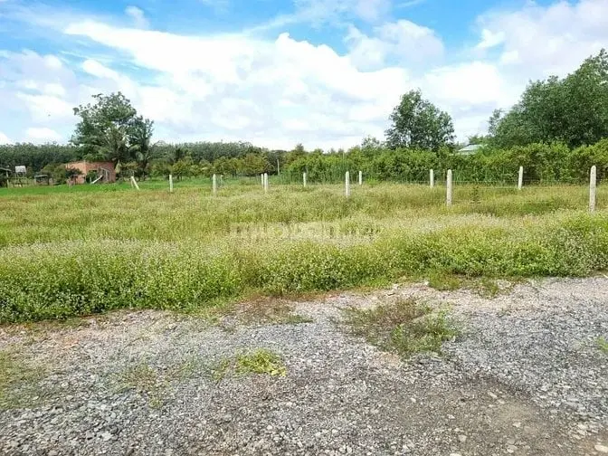 6039529 ảnh đại diện 1
