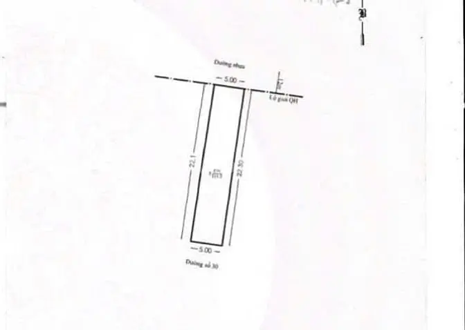 6040301 ảnh đại diện 1