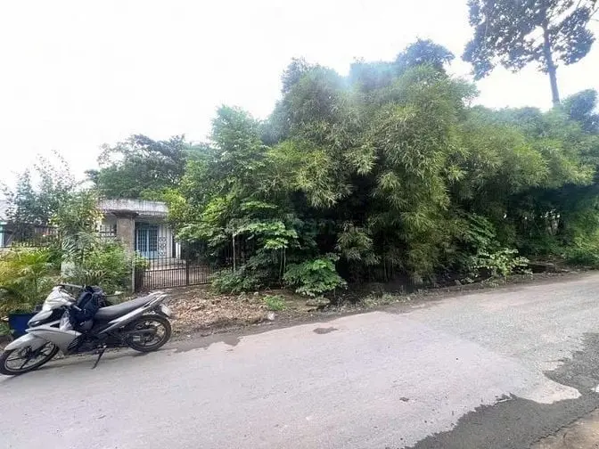 6039909 ảnh đại diện 1