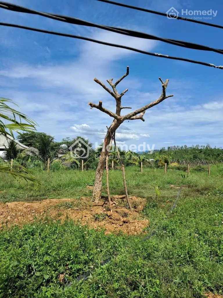 Bán Lô Đất Vườn Thôn 4, Kênh Tây, Xã Bắc Ninh Hòa, Khánh Hòa
