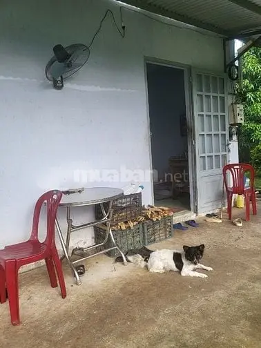Cần Bán Đất Nông Nghiệp 3.5 Tỷ -Ấp 18 Gia Đình- Xã Bảo Quang