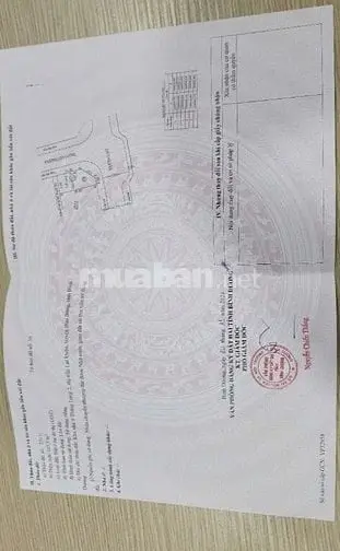 6039920 ảnh đại diện 1