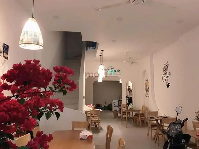 6040253 ảnh đại diện 1
