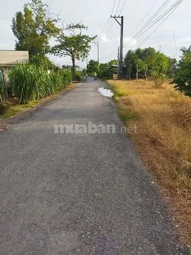 8,5M Mặt Tiền Nhựa Ngay Kcn Phước Đông, Nở Hậu 9M. 235Tr (1M)