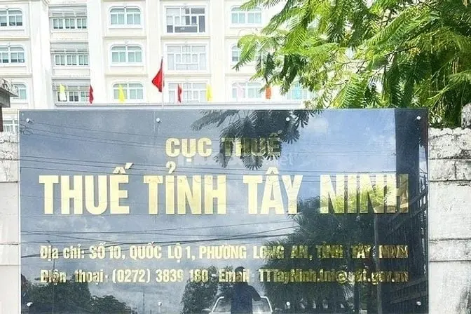 6040243 ảnh đại diện 1