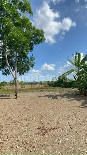 Bán Đất Full Thổ Cư Mt Đường Dt833, Diện Tích: 1441 M2, Giá 7.5 Tỷ
