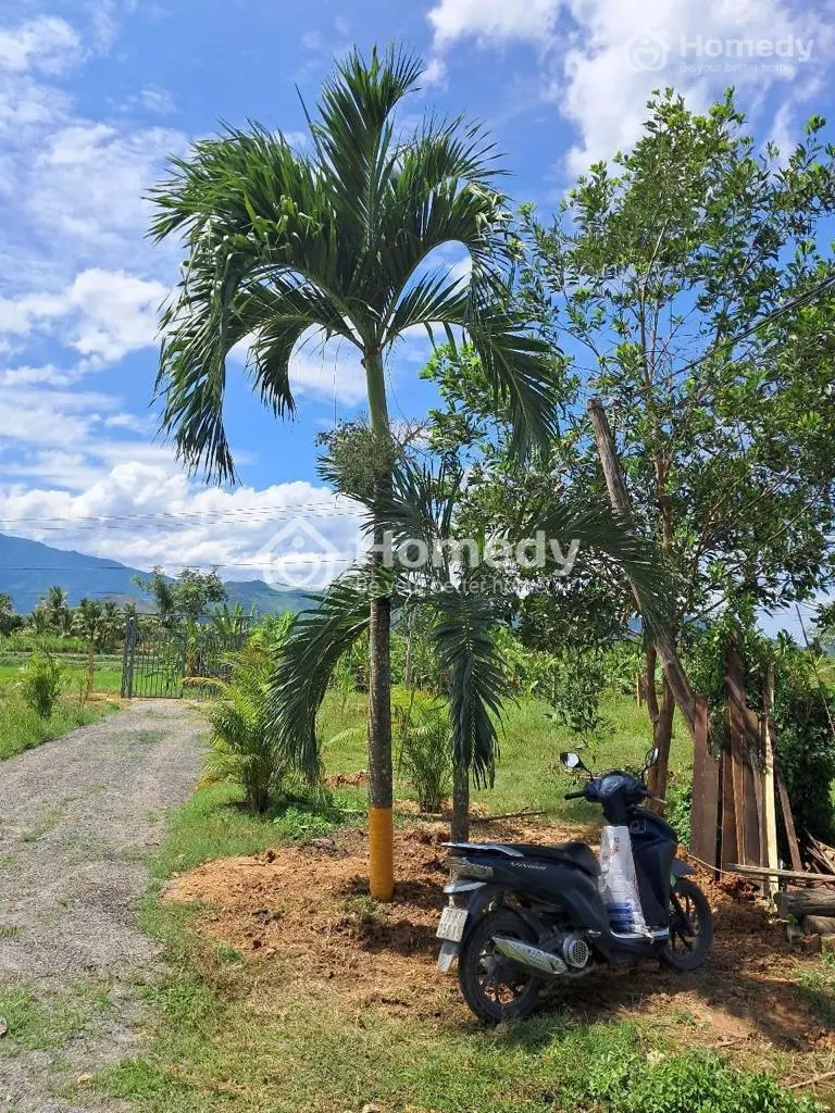 Bán Lô Đất Vườn Thôn 4, Kênh Tây, Xã Bắc Ninh Hòa, Khánh Hòa