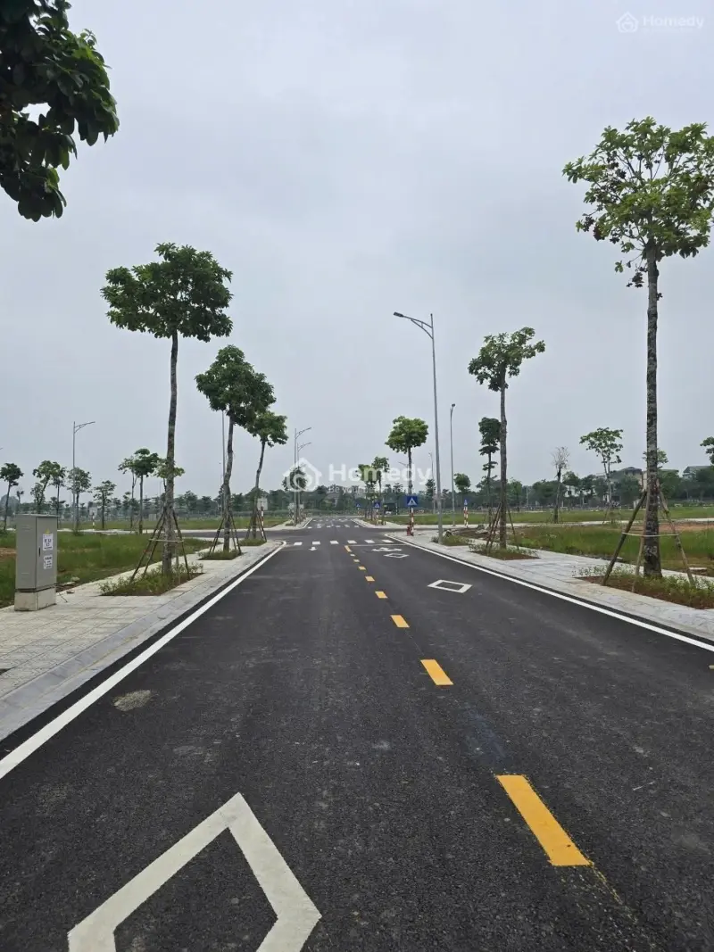 🏡 Bán Dự Án Đất Tại Hoàng Liệt - Hoàng Mai 🏡