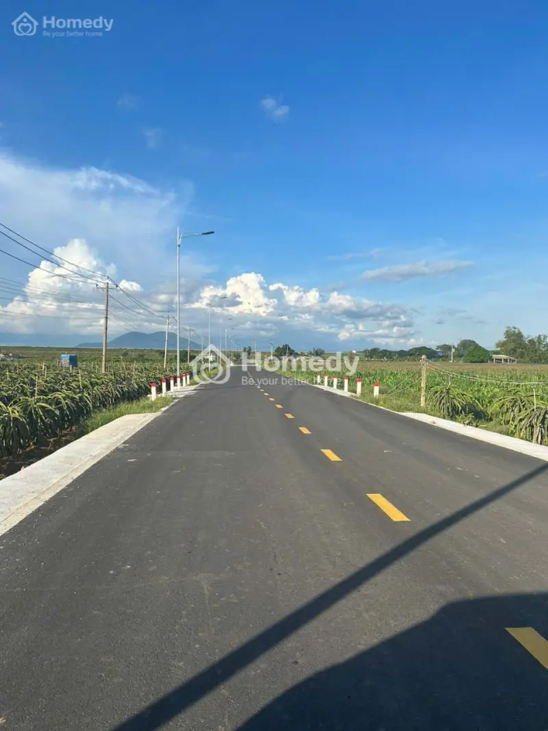 Bán 27.5M X 32M Đất Mặt Tiền Nguyễn Minh Châu - Tân Hải - Lagi Giá Ngộp 66Tr/M Ngang