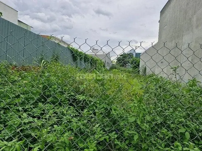 6040184 ảnh đại diện 1