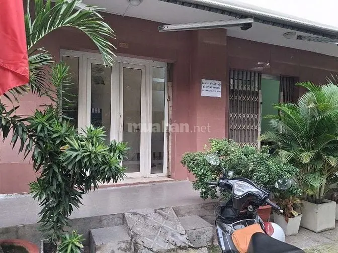 6039900 ảnh đại diện 1