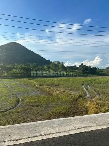 1482M2 Nguyễn Minh Châu Tân Tiến Lagi Đường Nhựa Giá Chỉ 1,8 Tỷ
