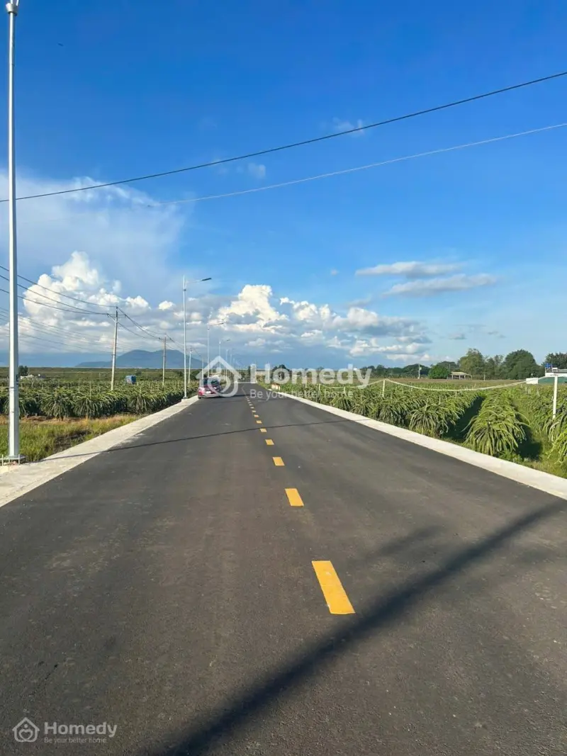 6040355 ảnh đại diện 1