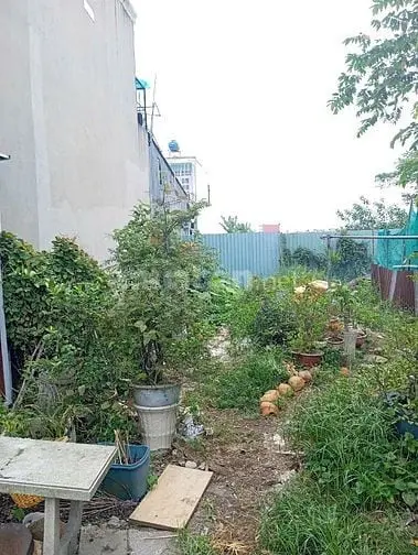 Cần Bán Gấp Lô Đất Đường Thới Hoà, Xã Vĩnh Lộc A