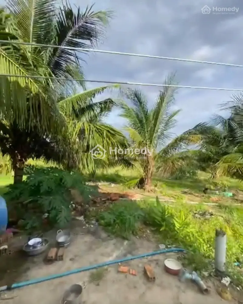 6040352 ảnh đại diện 1