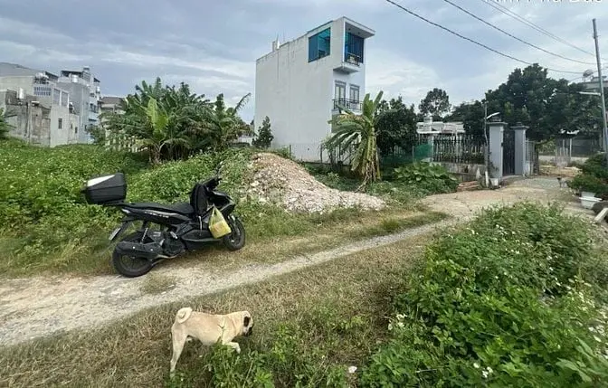 Đất Hiệp Thành – Giá Bán: 1 Tỷ 550