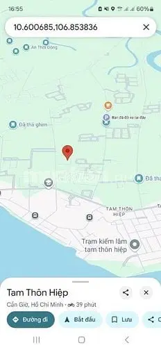6Ha Đất 2Mt Đường 5M, Cách Mt Tam Thôn Hiệp 100M, Tth Cần Giờ. Mua Bán