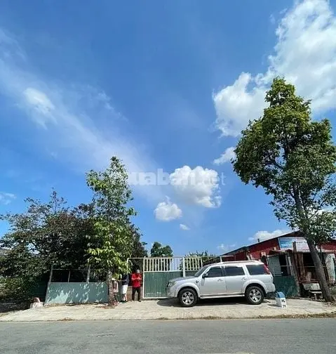 6039913 ảnh đại diện 1