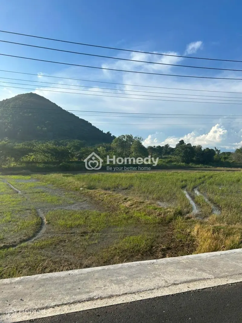 1482M2 Nguyễn Minh Châu Tân Tiến Lagi Đường Nhựa Giá Chỉ 1,8 Tỷ