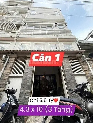 6039997 ảnh đại diện 1
