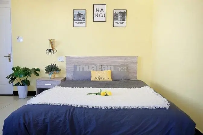 Cho Thuê Nhà Nguyên Căn Mặt Tiền Đường