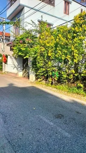 Bát Khối-Đông Dư Thượng-90M Mt 5M- Ô Tô Đỗ-Tương Lai Ra Trục Chính