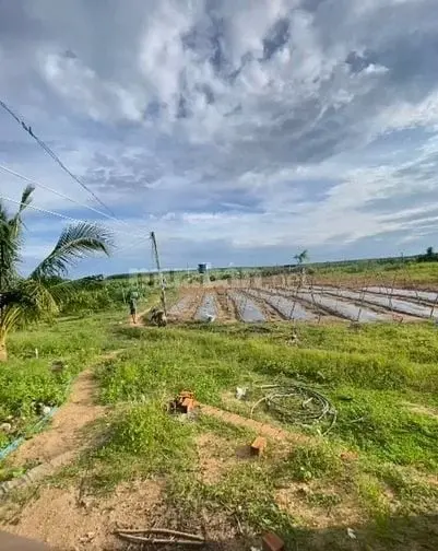 6040150 ảnh đại diện 1