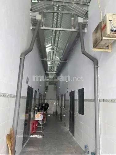 6039904 ảnh đại diện 1