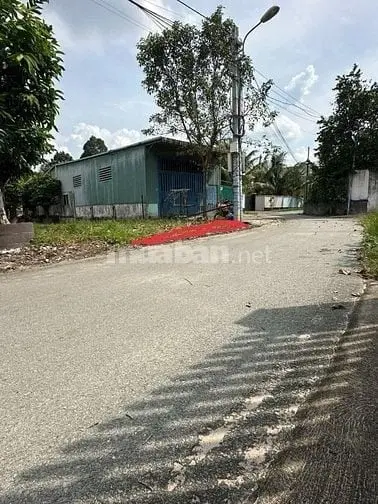 6039892 ảnh đại diện 1