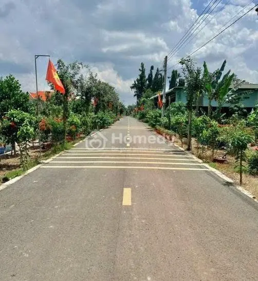6040204 ảnh đại diện 1